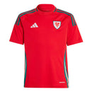 Camisa Seleção País de Gales Home 24/25 - Adidas Torcedor Masculina