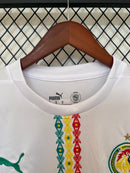 Camisa Seleção Senegal Home 2025/26 - Puma Torcedor Masculina