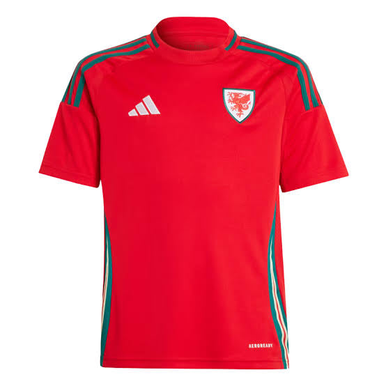 Camisa Seleção País de Gales Home 24/25 - Adidas Torcedor Masculina