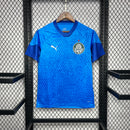 Camisa Palmeiras Goleiro Azul 24/25 - Puma Torcedor Masculina