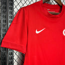 Camisa Seleção Turquia Away 24/25 - Torcedor Masculina