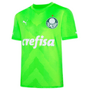 Camisa Palmeiras Goleiro 23/24 - Puma Torcedor Masculina